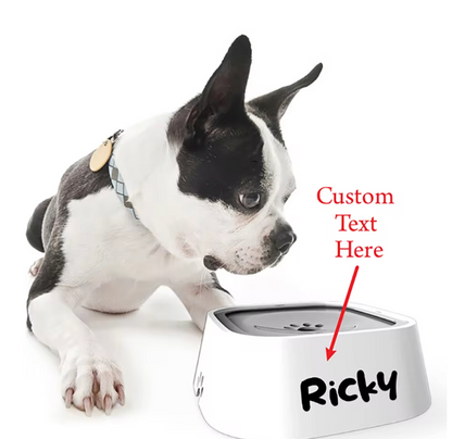Custom Dog Drinking Water Bowl No Spill